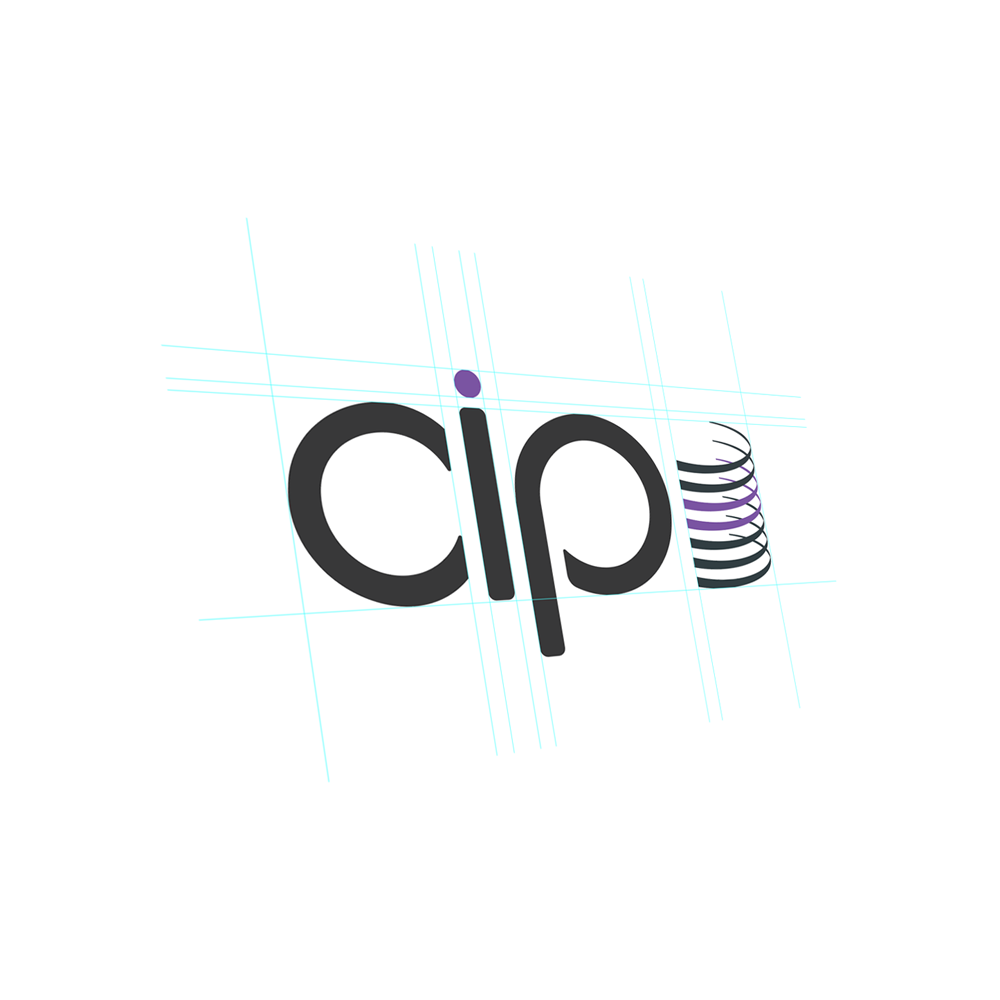 cip project image
